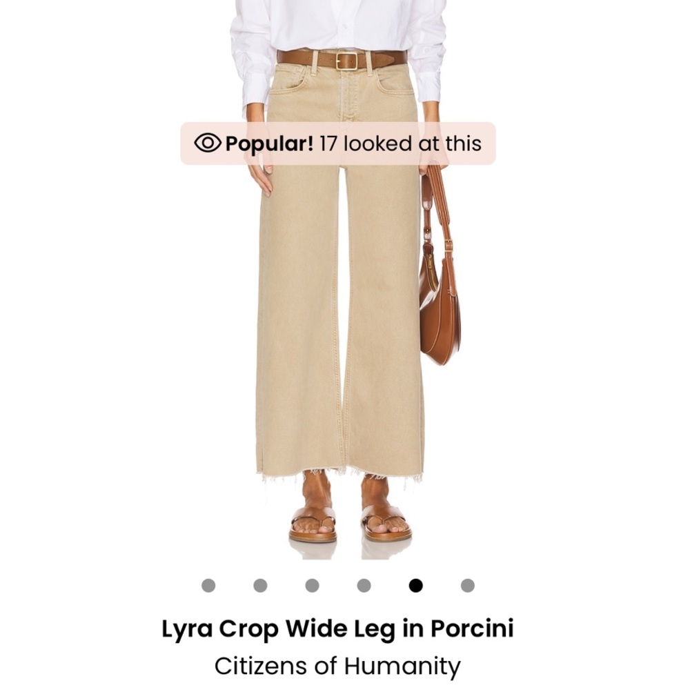 Citizens of Humanity Lyra Crop Wide Leg Pants in Porcini